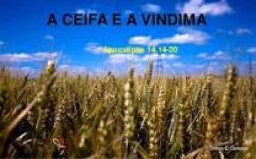 Qual a explicação para as visões de João em Apocalipse 14,14-19? - OTPB -  Ordem dos Teólogos e Pastores do Brasil